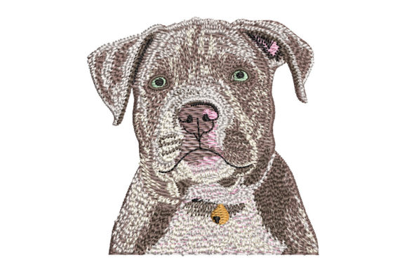American Bully Puppy: A Designer’s Review for Merch