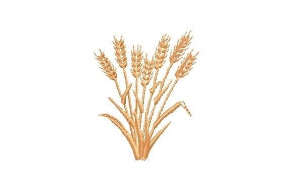 Wheat Embroidery Design: A Pro Review for Branding